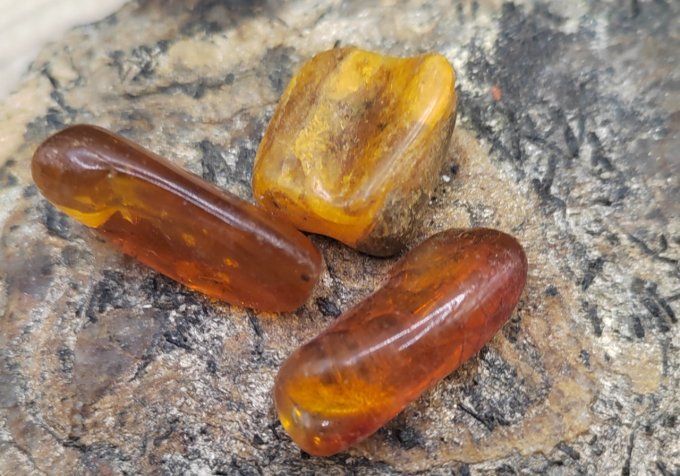Ambre — Chaleur, Vitalité & Lumière